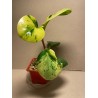 Peperomia obtusifolia marble