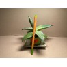 Agave guiengola. Agaavid. Taimepood.