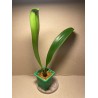 Bulbophyllum longiflorum var. eberhardtii